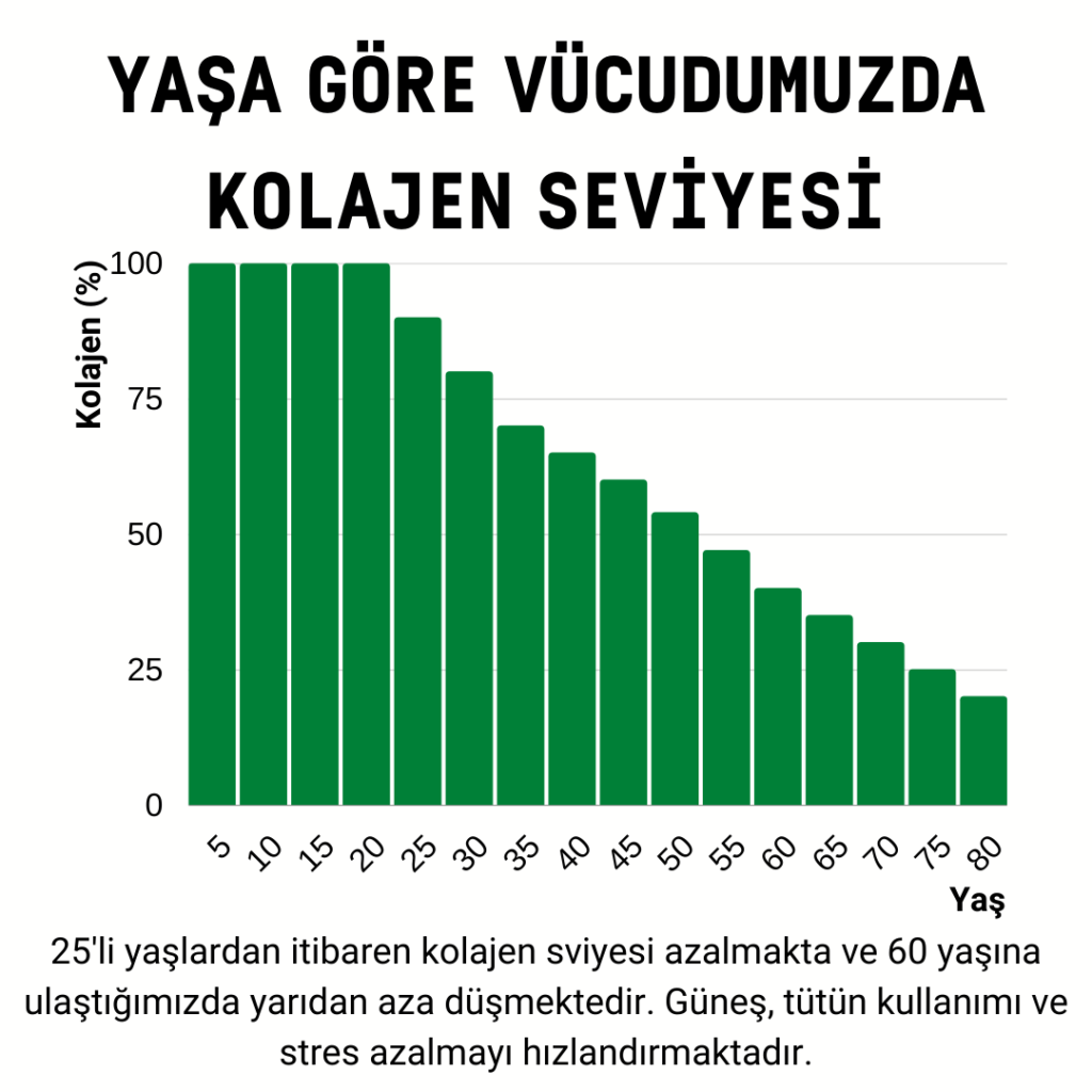 Kolajen sentezinin yavaşlaması ve kolajen seviyesinin yaşa göre düşüşü